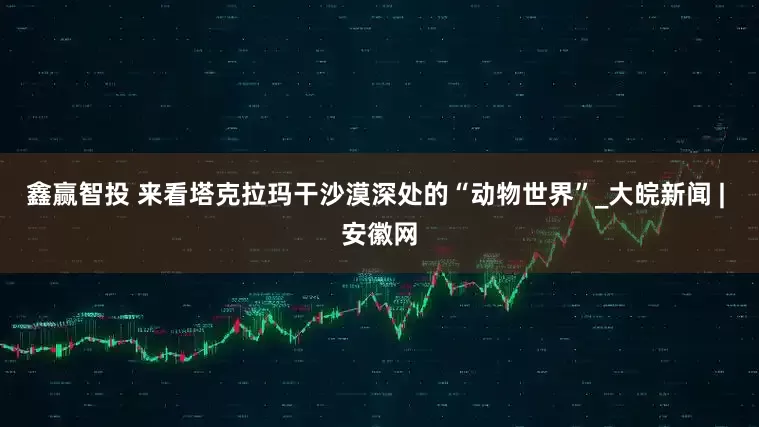 鑫赢智投 来看塔克拉玛干沙漠深处的“动物世界”_大皖新闻 | 安徽网