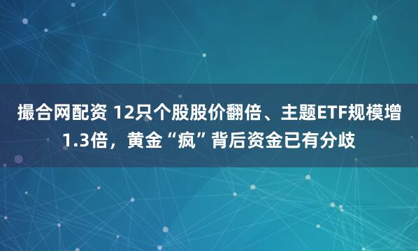 撮合网配资 12只个股股价翻倍、主题ETF规模增1.3倍，黄金“疯”背后资金已有分歧