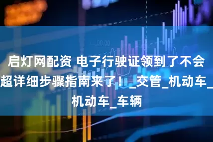 启灯网配资 电子行驶证领到了不会用？超详细步骤指南来了！_交管_机动车_车辆